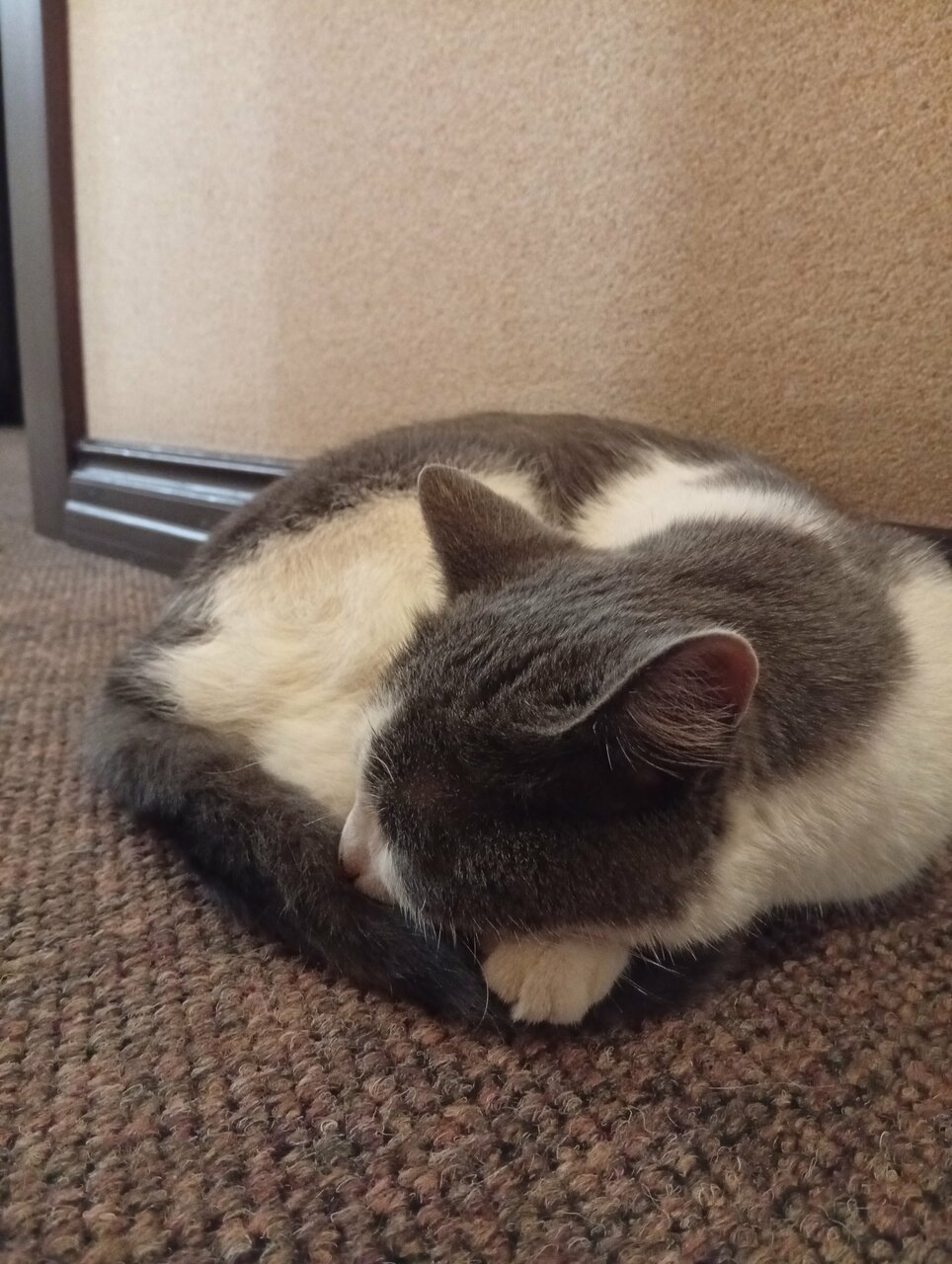 Гостиница Элион Балаково-186